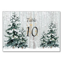 Winter Wonderland Boda Stars Pine Trees Table