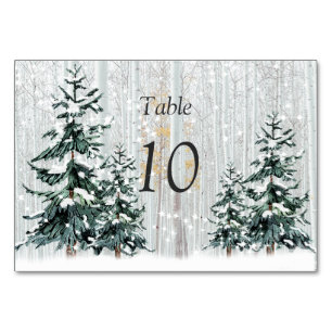Tarjeta De Mesa Winter Wonderland Boda Stars Pine Trees Table