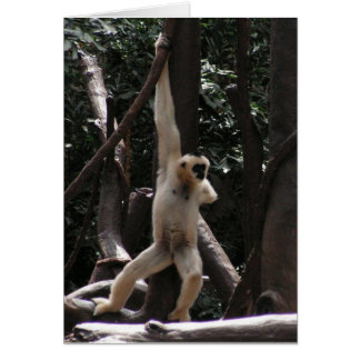 Tarjeta de Mono