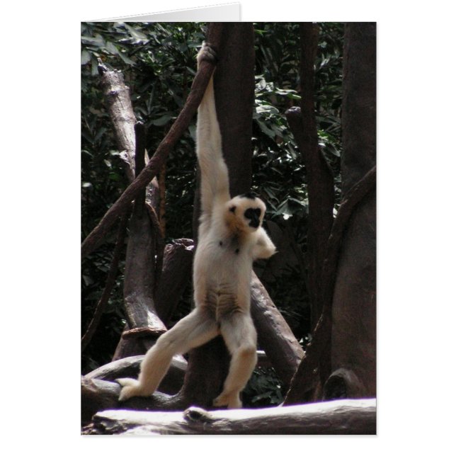 Tarjeta de Mono (Frente)