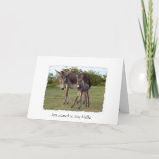 tarjeta de nacimiento de donkey