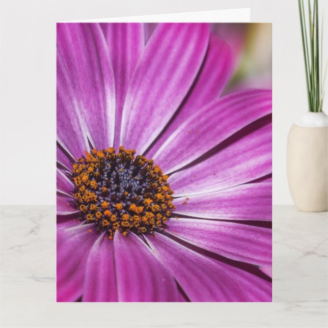 TARJETA DE NACIMIENTO DE FLORES DE PURPLE DE COSME (Anverso)