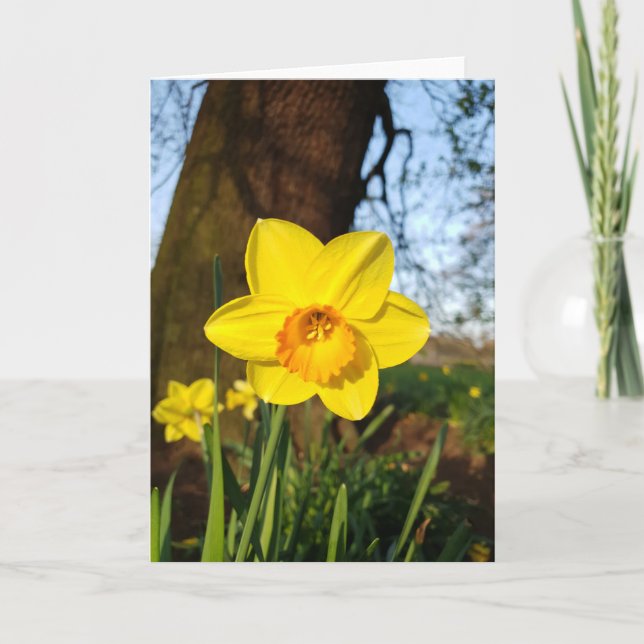 Tarjeta de Narciso en el Parque (Anverso)