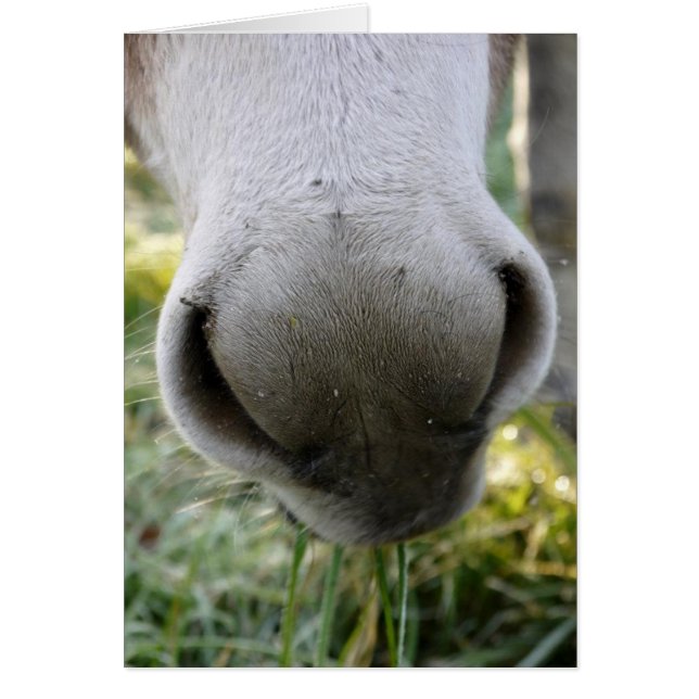 Tarjeta de nariz difusa (Frente)