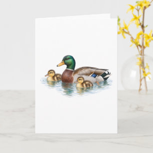 Tarjeta de natación de la familia de patos