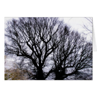 Tarjeta de naturaleza del invierno