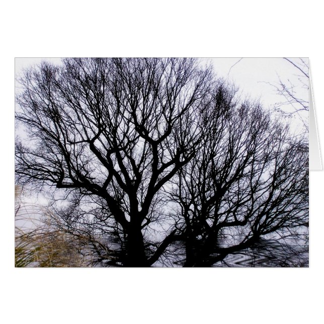 Tarjeta de naturaleza del invierno (Anverso (Horizontal))