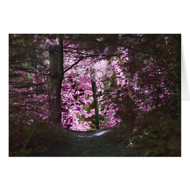 Tarjeta de Naturaleza Light On Path (Anverso (Horizontal))