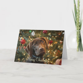 Tarjeta de navidad