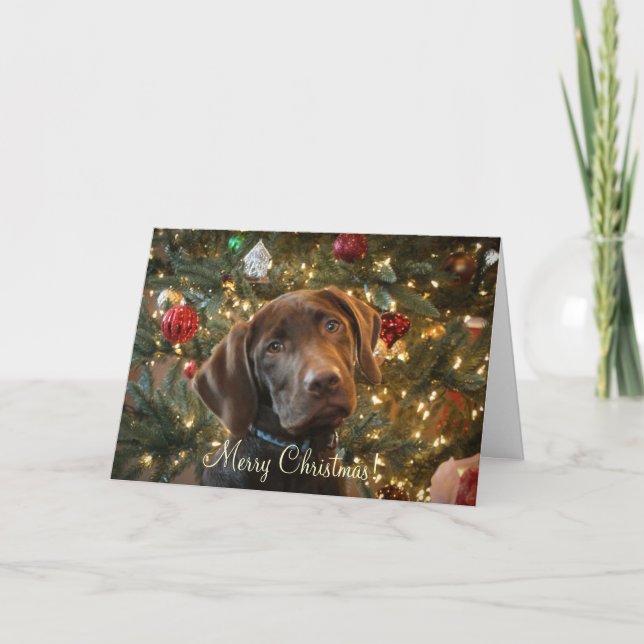 Tarjeta de navidad (Anverso)