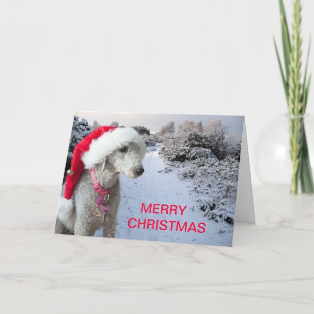 Tarjeta de Navidad (Anverso)