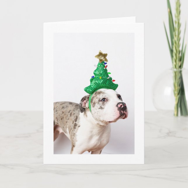 tarjeta de Navidad (Anverso)