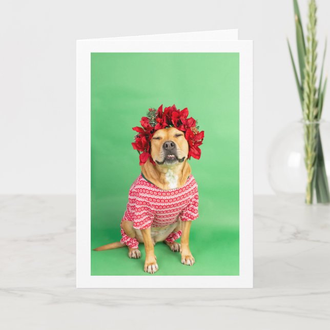 Tarjeta de Navidad (Anverso)