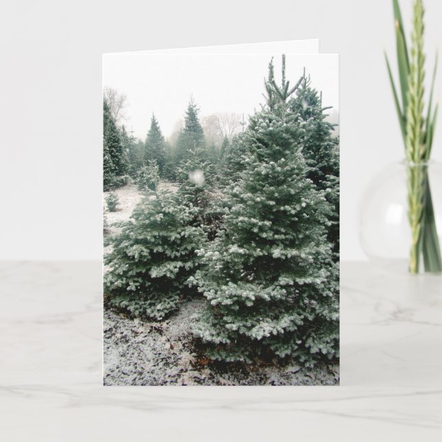 Tarjeta de Navidad (Anverso)