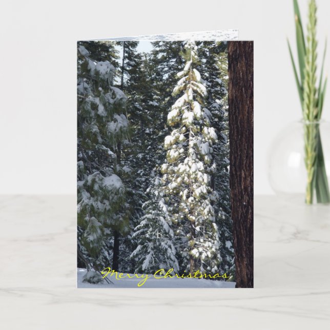 Tarjeta de Navidad 2006 (Anverso)