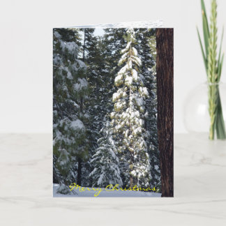 Tarjeta de Navidad 2006