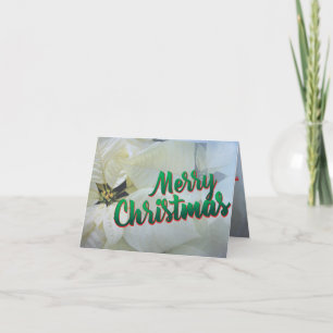 Tarjeta de Navidad 25 poinsettia blanca