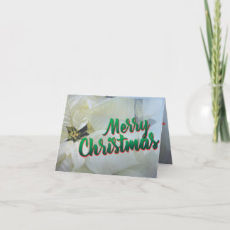 Tarjeta de Navidad 25 poinsettia blanca