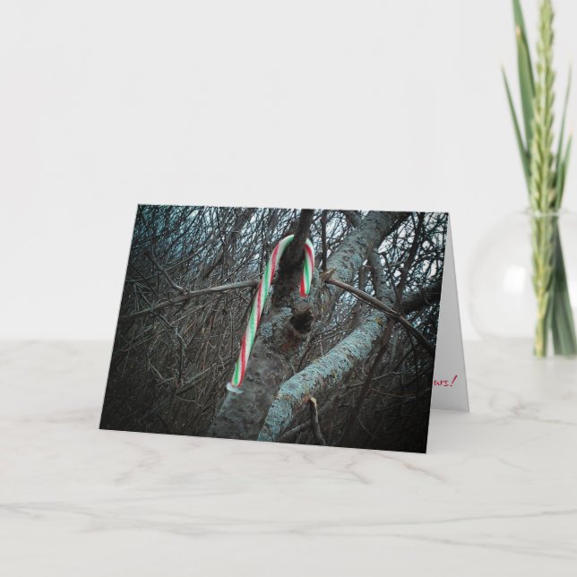 Tarjeta de Navidad "Alimagnet Candy Cane" (Anverso)