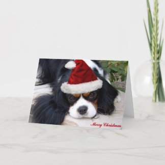 Tarjeta de Navidad arrogante de rey Charles