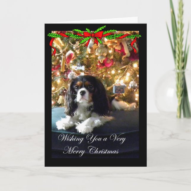 Tarjeta de Navidad arrogante del perro de aguas de (Anverso)