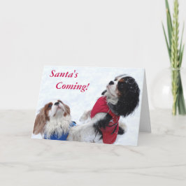 Tarjeta de Navidad arrogante del perro de aguas de