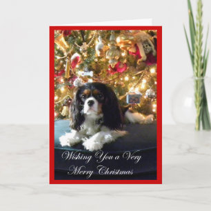 Tarjeta de Navidad arrogante del perro de aguas de