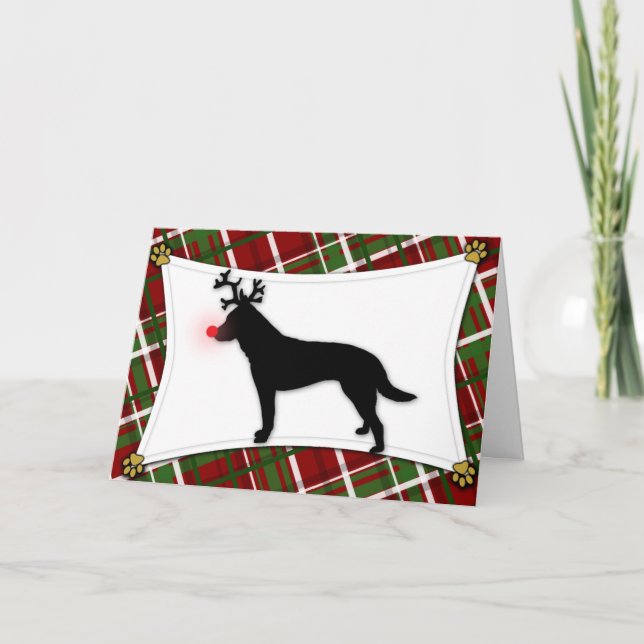 Tarjeta de Navidad australiana del reno del perro (Anverso)