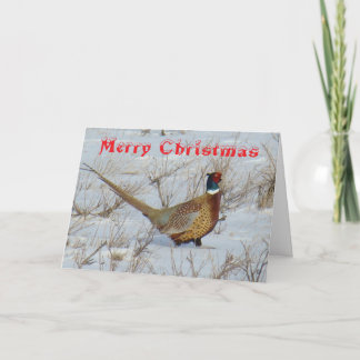 Tarjeta de Navidad B22 de faisán de collar en la n