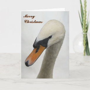 Tarjeta de Navidad blanca del cisne