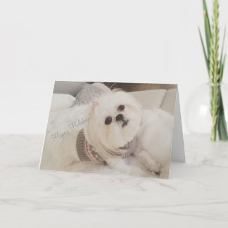 Tarjeta de Navidad blanca querida del perrito de