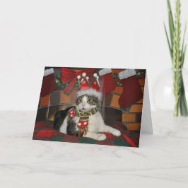 Tarjeta de Navidad blanco y negro del gato del