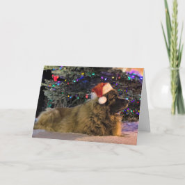 Tarjeta de Navidad brillante de Leonberger