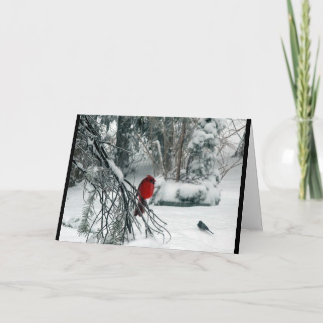 Tarjeta de Navidad cardinal Nevado (Anverso)