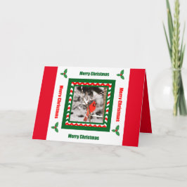 Tarjeta de Navidad cardinal septentrional de las