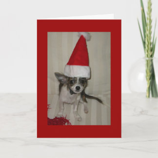 Tarjeta de navidad Chihuahua