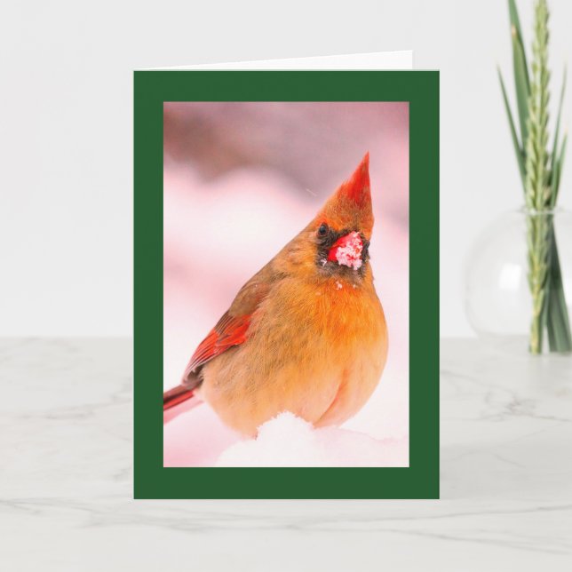 TARJETA DE NAVIDAD CON CARDENAL EN LA NIEVE (Anverso)