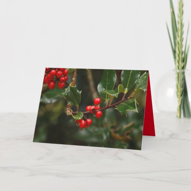 Tarjeta de navidad con carnet de holly (Anverso)