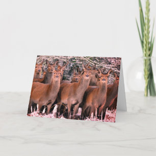 TARJETA DE NAVIDAD CON CERDO EN NIEVE PERSONALIZAD