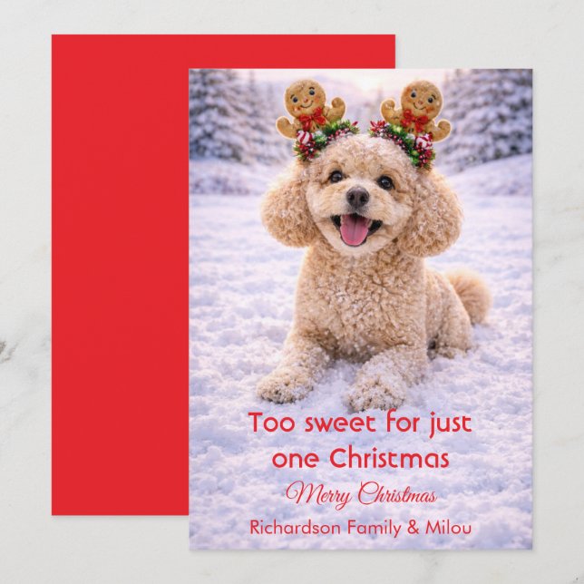 Tarjeta de Navidad con Cita Dulce de Perro Adorabl (Anverso / Reverso)