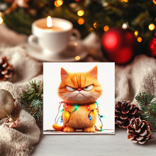 Tarjeta de Navidad con Drama de Gatos Atigrados Na