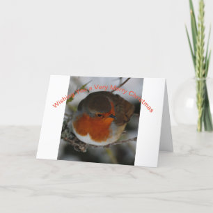 Tarjeta de Navidad con el petirrojo