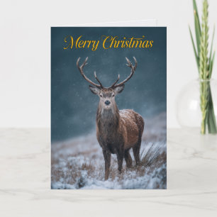 Tarjeta de Navidad con foto de majestuoso ciervo r