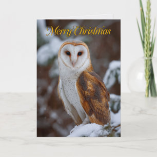 Tarjeta de Navidad con foto de majestuoso lechuza 