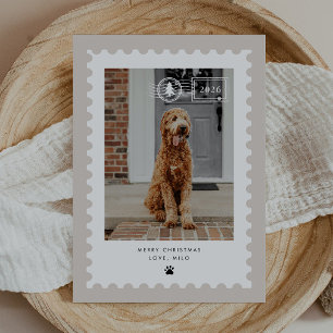 Tarjeta de Navidad con Foto de Perro Mascota con S