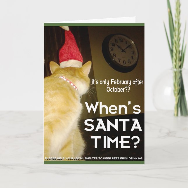 Tarjeta de navidad con gato ensimismado (Anverso)