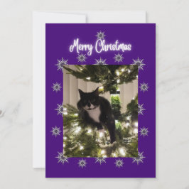 Tarjeta de Navidad con gato esmoquin en el árbol.