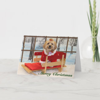 Tarjeta de Navidad con Joey