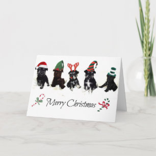 Tarjeta de Navidad con los perritos del Schnauzer