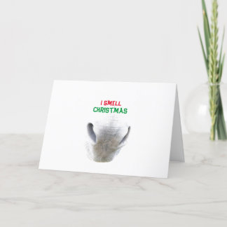 Tarjeta de navidad con nariz de burro
